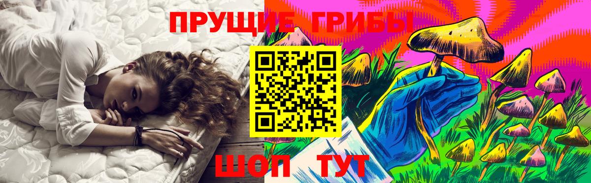 Псилоцибиновые грибы GOLDEN TEACHER  купить закладку  Вход с VPN  Владивосток  Галлюциногенные грибы Cubensis 
